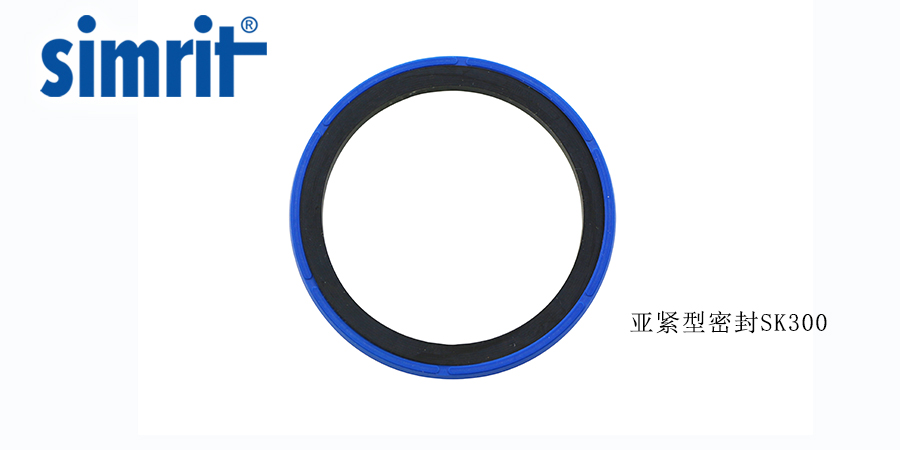 德國旋轉(zhuǎn)骨架油封，讓密封效果更好